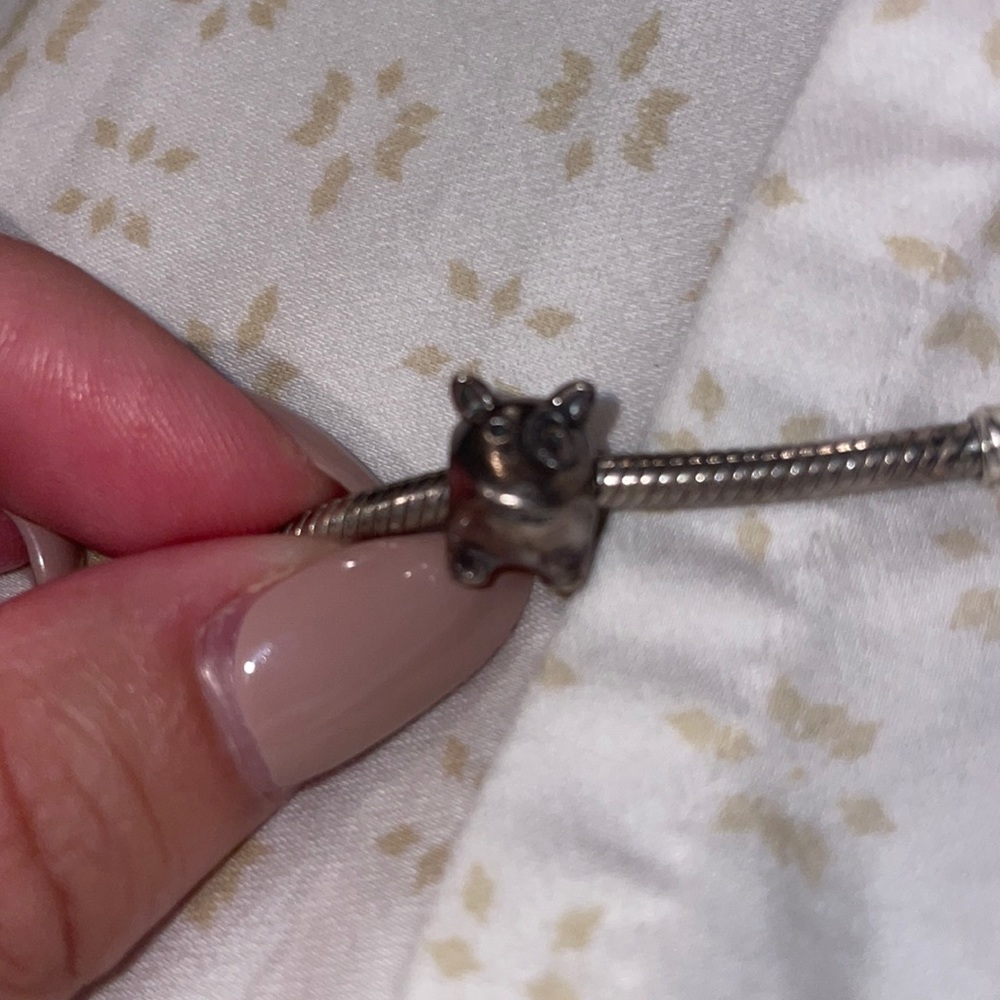 Pandora dog charm spot